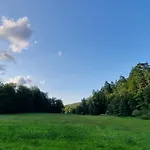 Weissenthalsmuehle Birkenhaeuschen *
