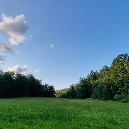 Weissenthalsmuehle Birkenhaeuschen *